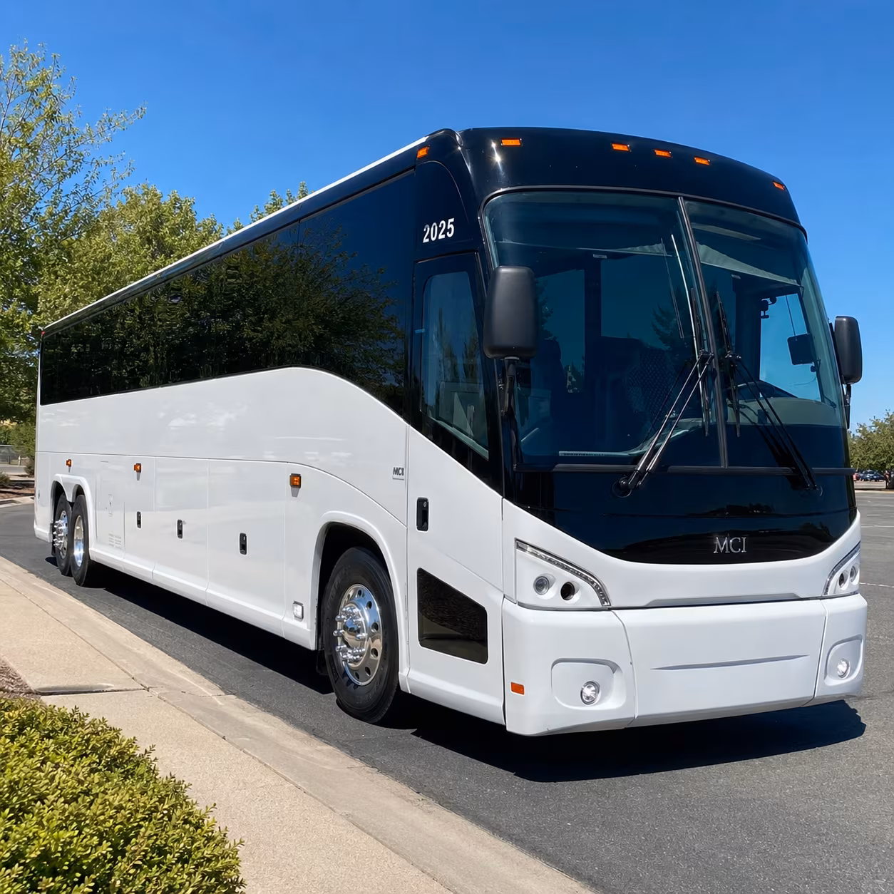 bus rentals