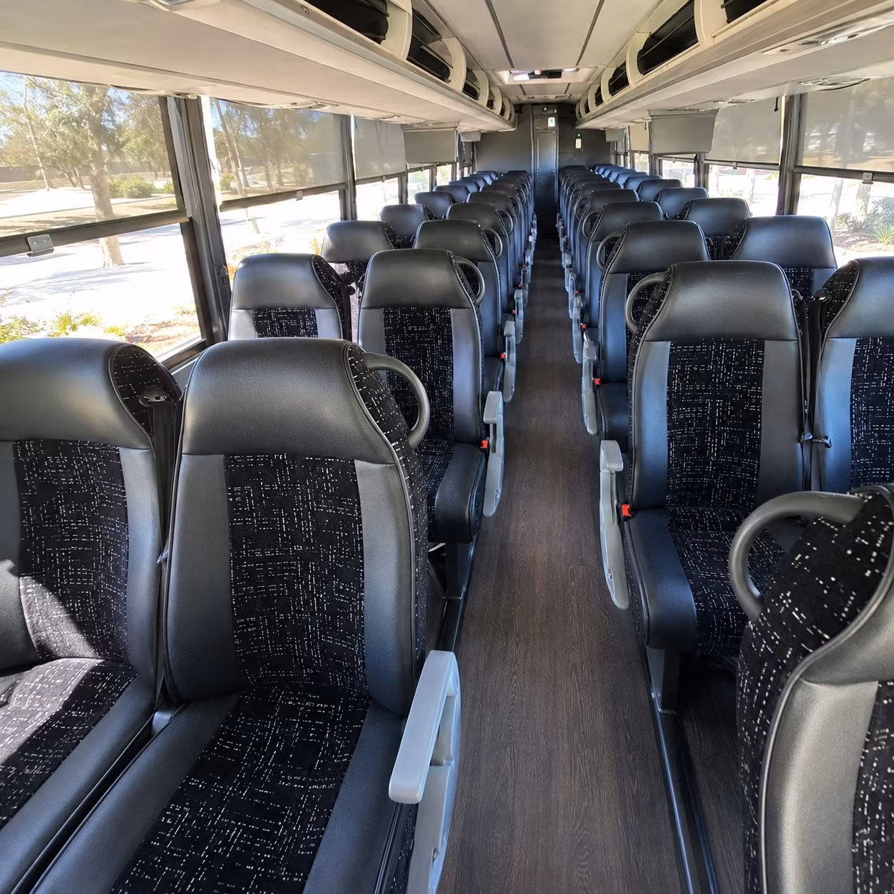 charter buses from edinburg to san antonio austin and houston