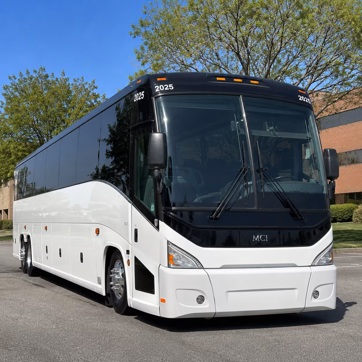 diocesan event buses for the diocese of brownsville